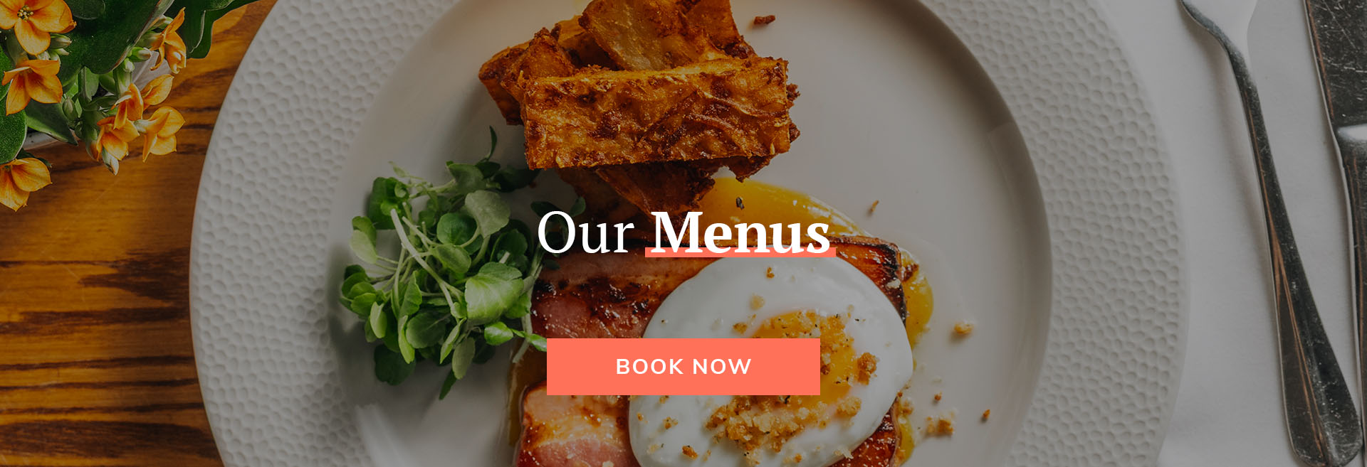 Book Now at Dewdrop