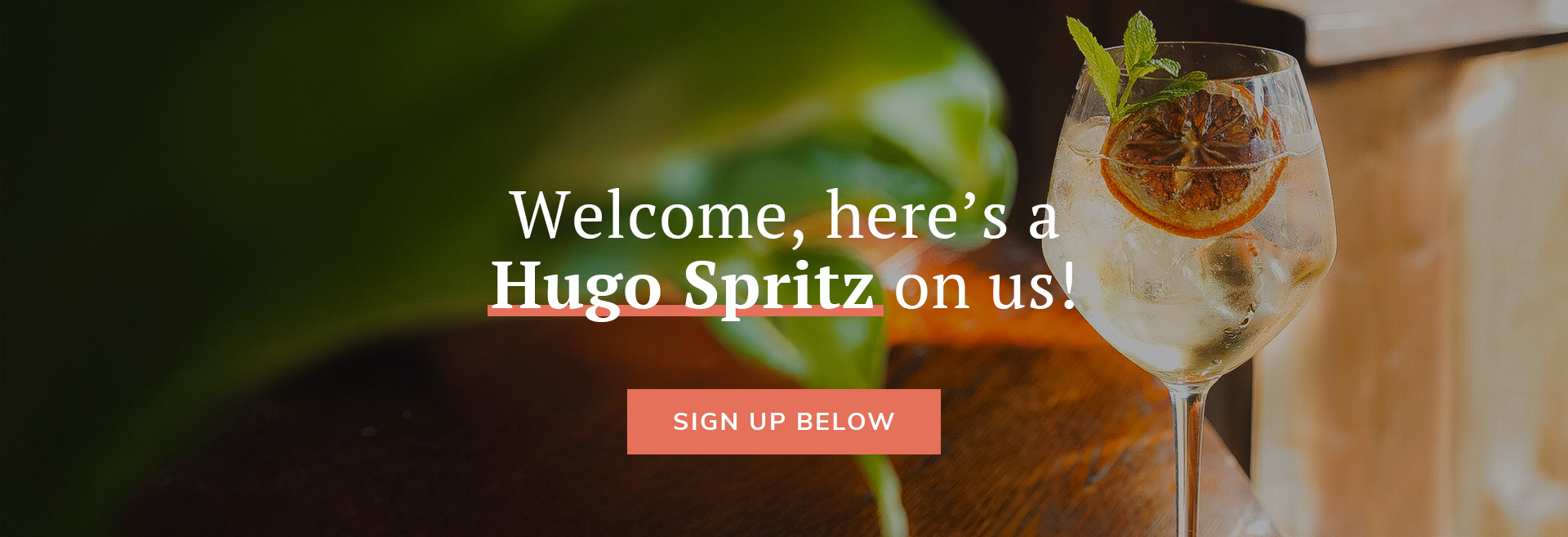 Sign up to the newsletter at Dewdrop