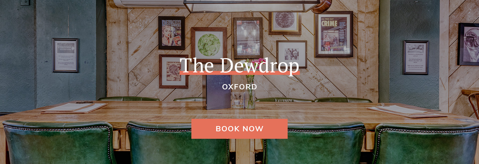 Dewdrop Banner 1