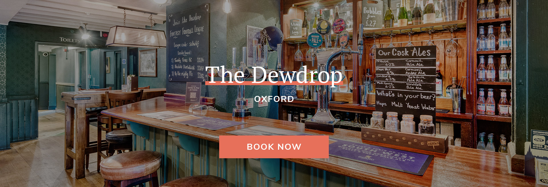 Dewdrop Banner 2