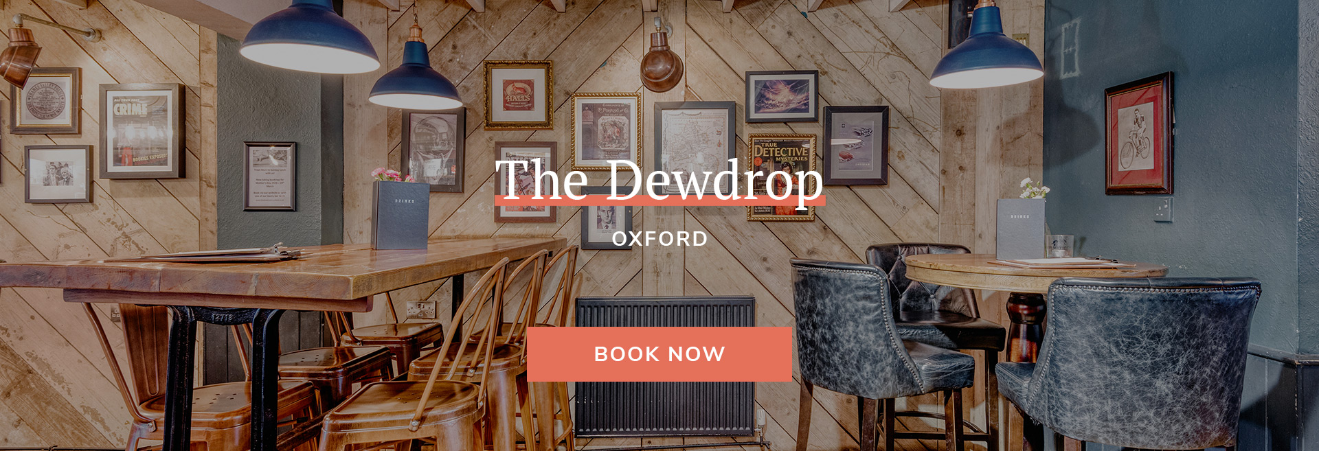 Dewdrop Banner 3